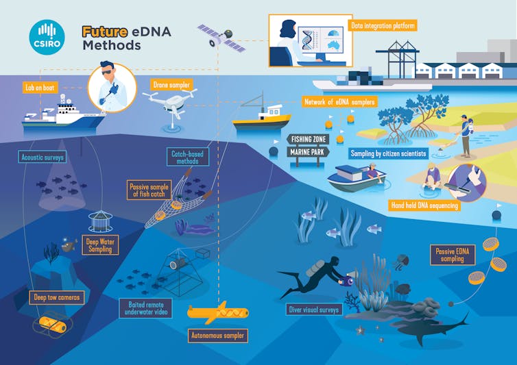 figure showing the many future uses for eDNA with underwater drones, samplers in buoys