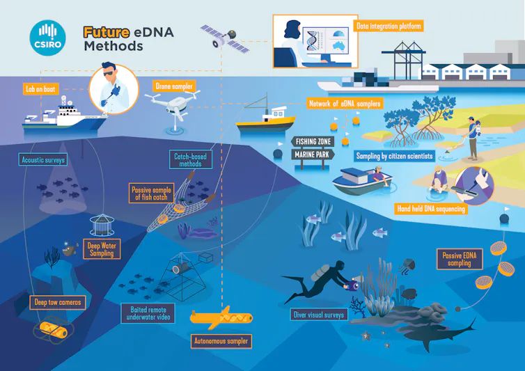 figure showing the many future uses for eDNA with underwater drones, samplers in buoys