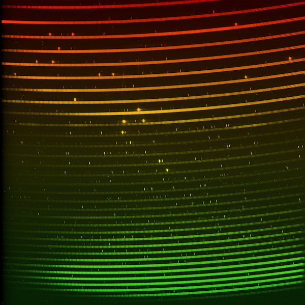 Uma imagem de espectrógrafo do Southern African Large Telescope