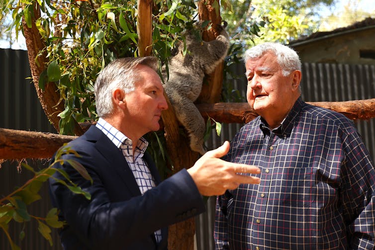 Chair of the carbon credit review panel Ian Chubb (right) with Energy Minister Chris Bowen.