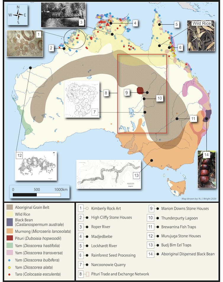 map of australia showing Aboriginal grainlands in the centre, yam country in the south east and many other food production systems