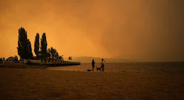 People walk their dogs on a beach shrouded in orange smoke.