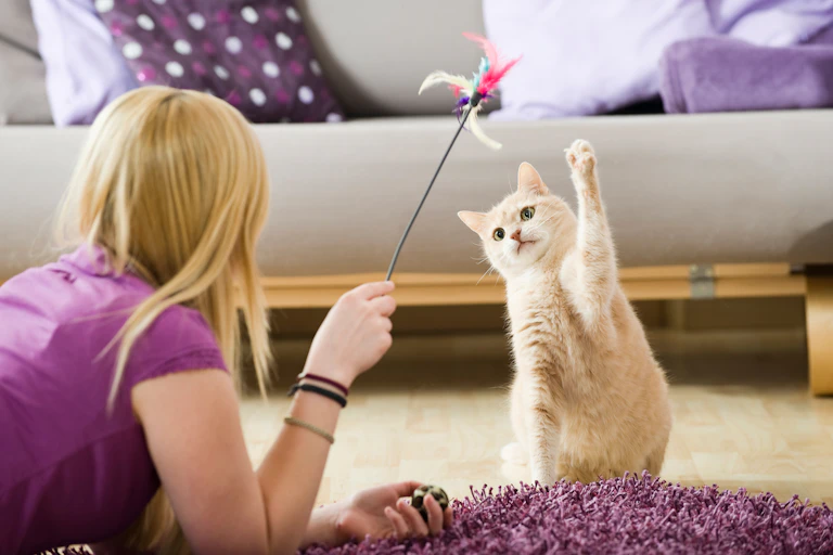 A girl plays with her cat in the lounge room