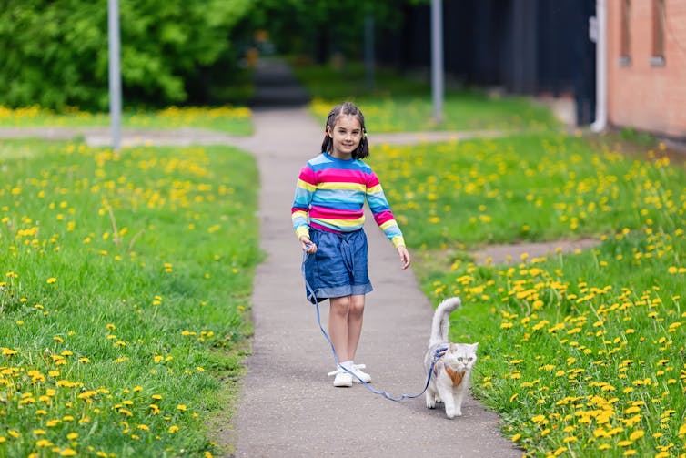 A girl walks her cat on a harness down a path