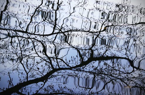 A new theory linking evolution and physics has scientists baffled – but is it solving a problem that doesn't exist?
