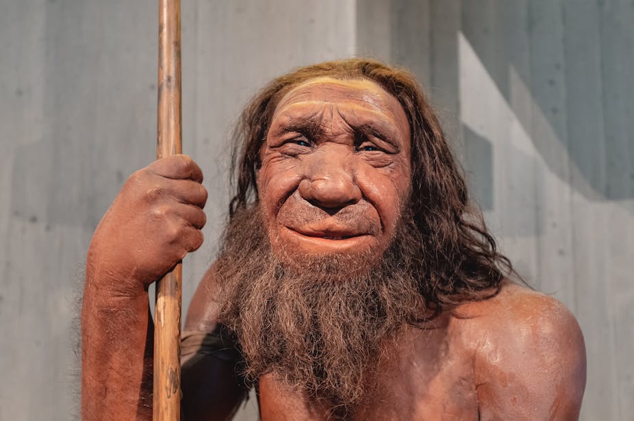 Statue d'un homme de Néandertal au Musée de l'Homme de Néandertal en Allemagne.