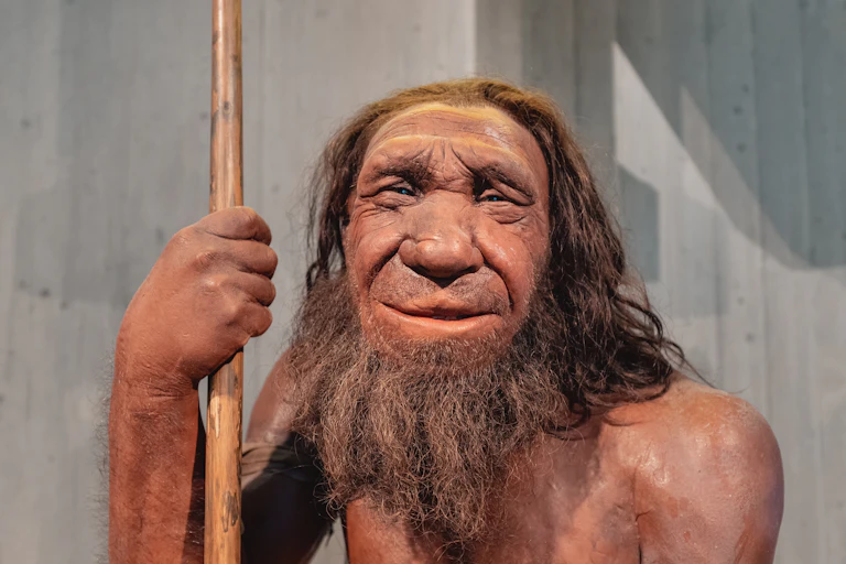 Statue d'un homme de Néandertal au Musée de l'Homme de Néandertal en Allemagne.