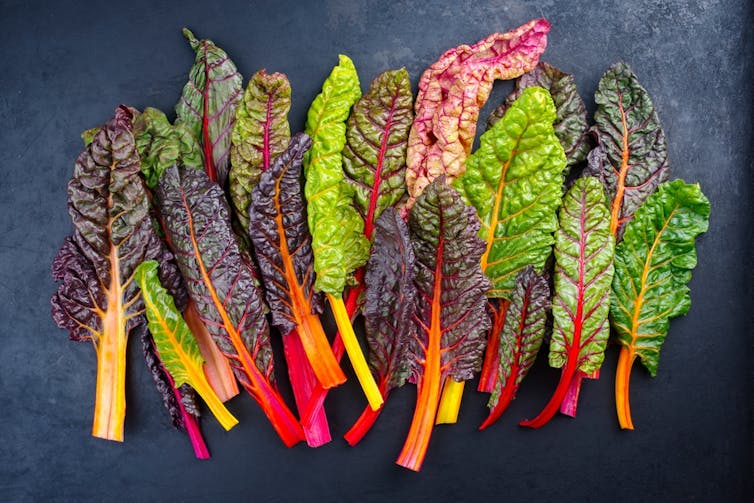 Different coloured Swiss chard leaves