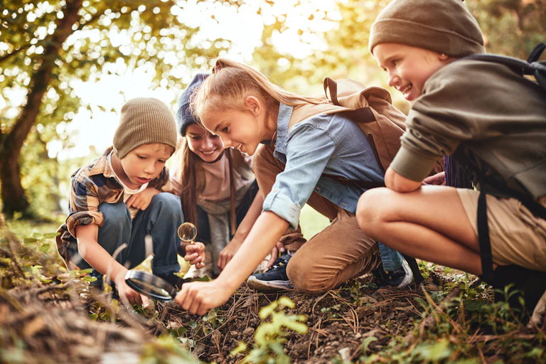 Enfants observant la nature en forêt