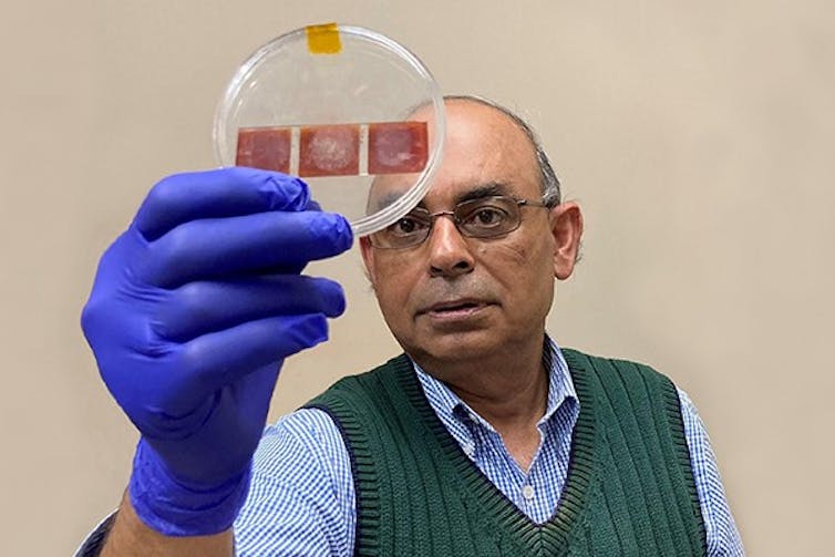 A man wearing a blue shirt and green vest, as well as a blue glove, holds a clear petri dish upright, which has three small red squares with fingermarks on them inside.
