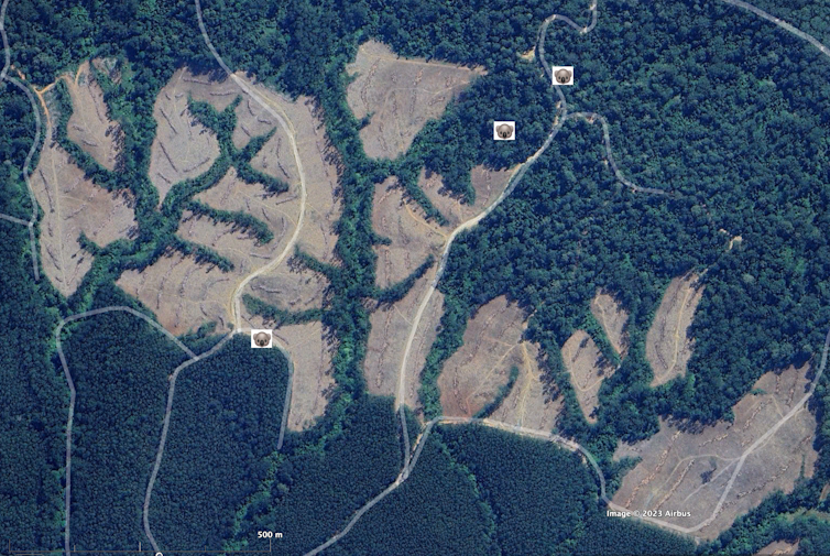 aerial photo of logged area with intact forest behind