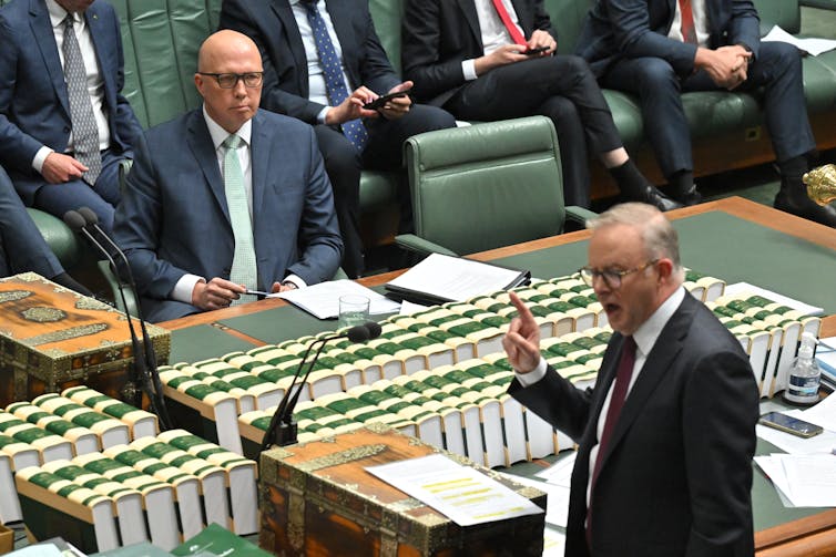 Halfway through their term, the 'teal' MPs look here to stay and may