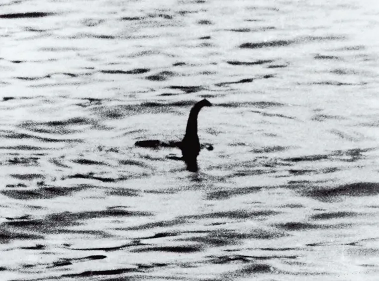 Black and white photo of silhouetted long-necked creature emerging from water