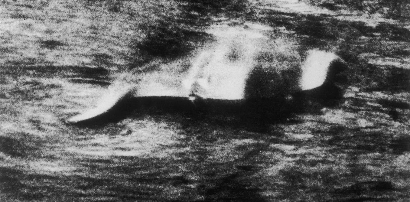 Why the search for the Loch Ness monster (and other beasts) continues 90  years after that first blurry photograph
