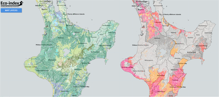 This Eco-index restoration map shows the expected natural cover of native ecosystems (left) and restoration priorities (right) in a section of New Zealand's North Island.