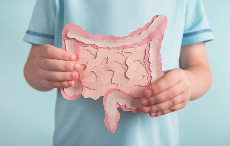 child holds paper model of stomach and digestion