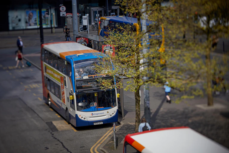 A local bus at a stop behind a tree.