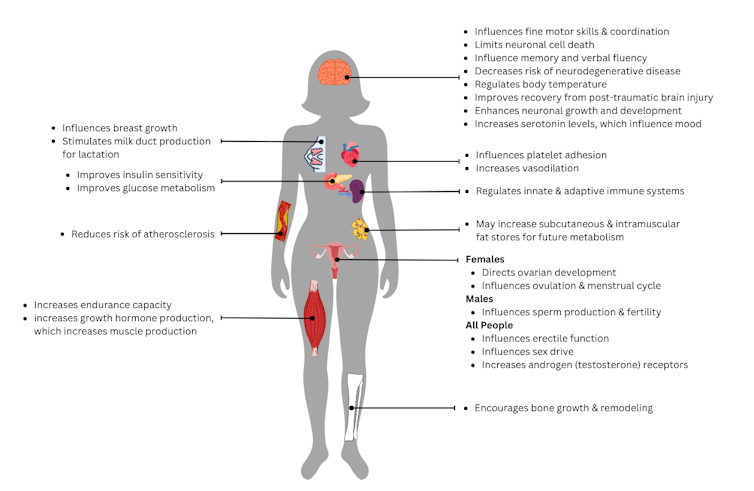 sihoutte of a woman's body with cartoon systems highlighted