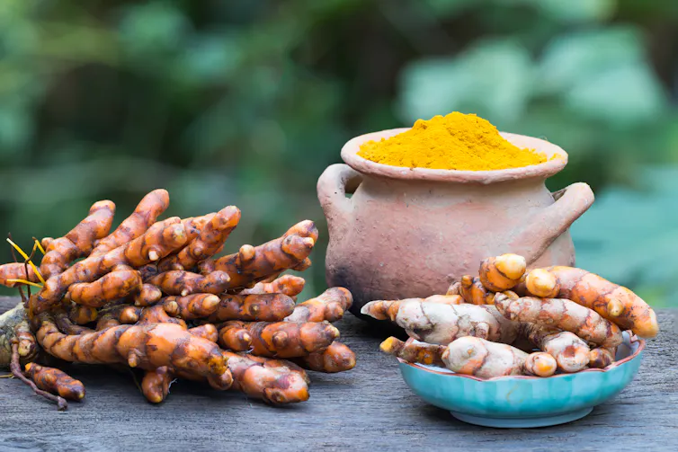 Turmeric root (Curcuma longa)