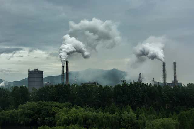 forest and trees with factory pollution in background