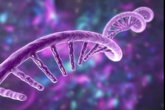 An illustration shows a purple strand of RNA spiralling away into the distance.