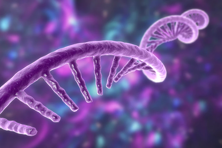 An illustration shows a purple strand of RNA spiralling away into the distance.
