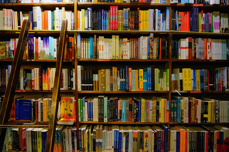 A ladder leaning against a row of bookshelves