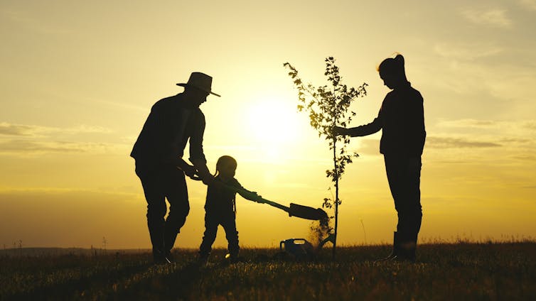 family planting tree, silhouette