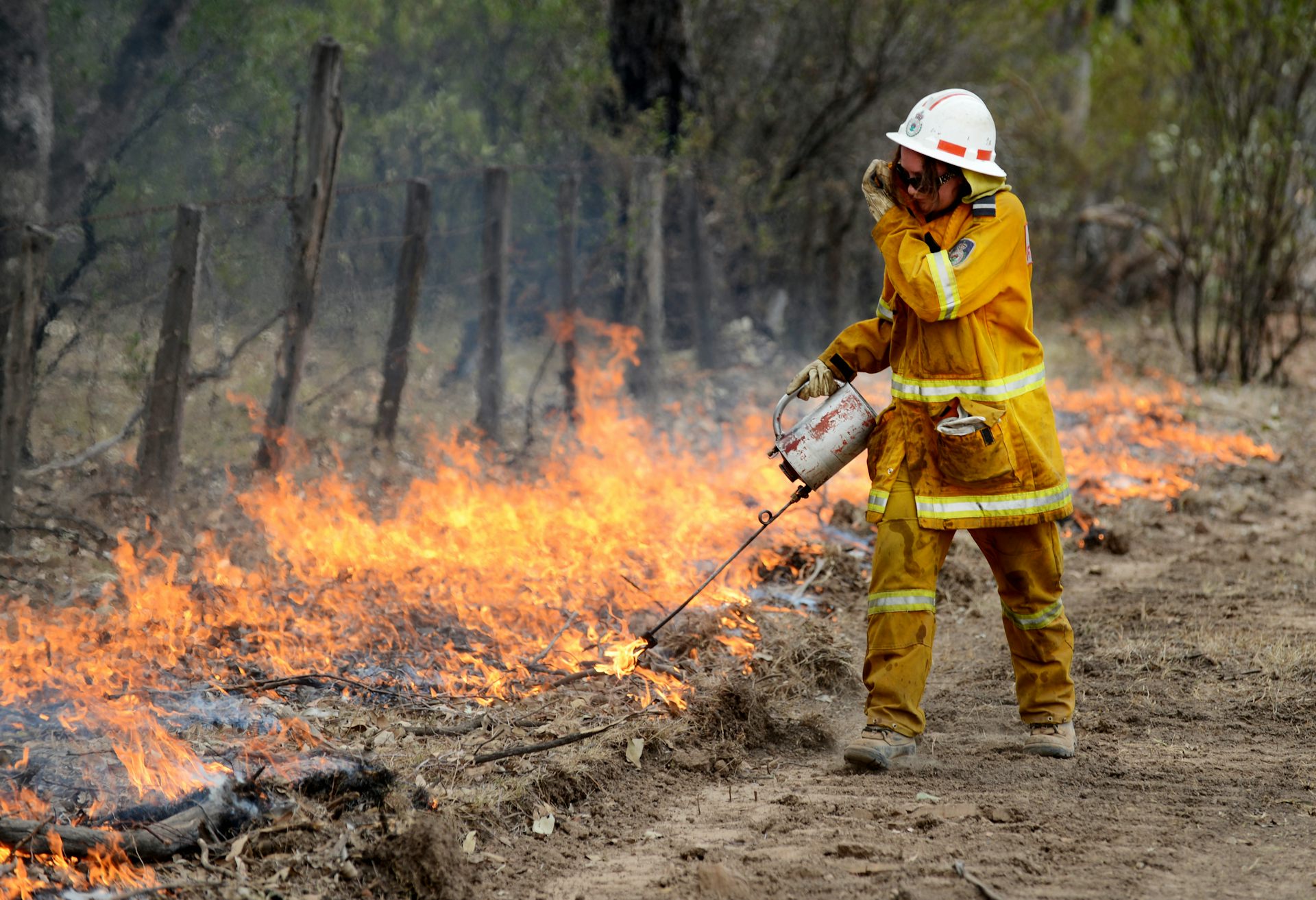 Explainer: Back Burning And Fuel Reduction