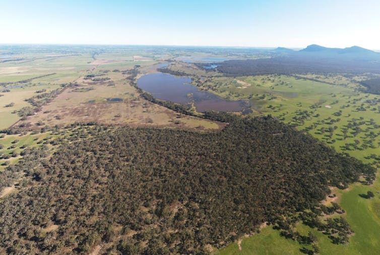 aerial view of swamp and bushland