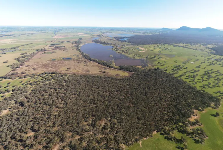aerial view of swamp and bushland