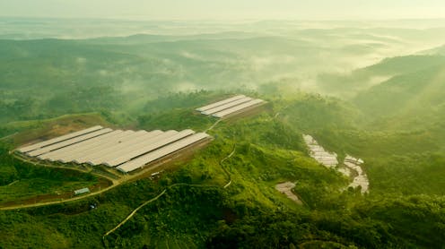 Bursa karbon dapat memperbaiki kinerja lingkungan perusahaan plus melindungi hutan: Bagaimana caranya?
