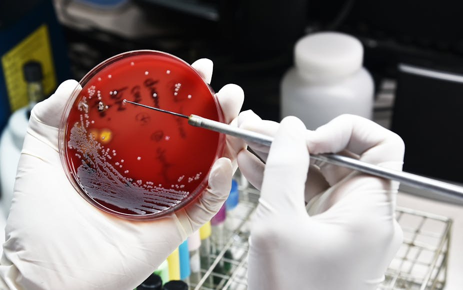 Antibiotic resistance: microbiologists turn to new technologies in the ...