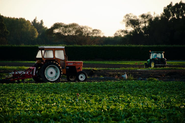 Deux tracteurs dans un champ