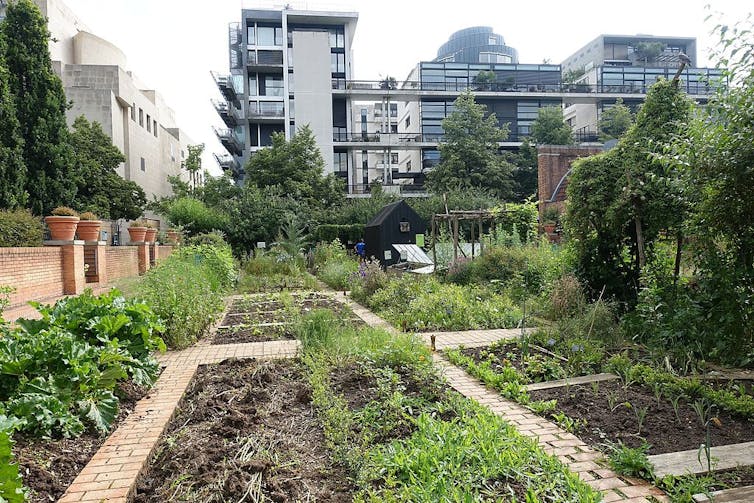 Vue d’un jardin urbain dans le parc de Bercy à Paris