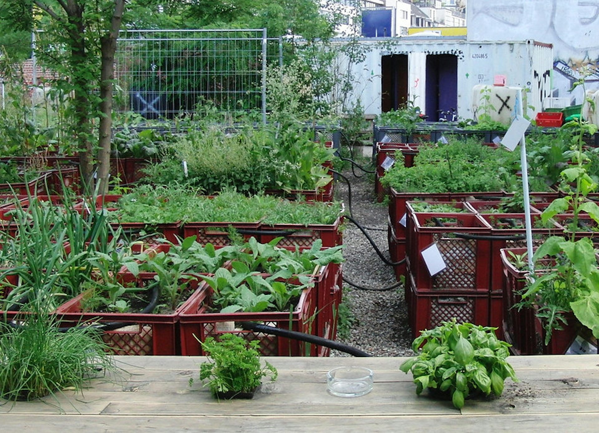 Vue d’un jardin urbain