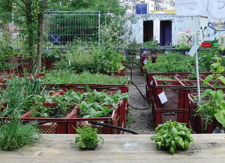 Vue d’un jardin urbain