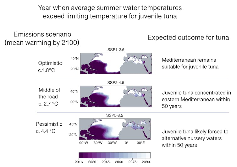 Graphic showing three different predictions for average sea temperatures.