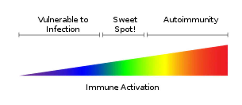 Gradient Fall Color Immunity How Does Your Immune System Stay Balanced? A Nobel Prize-winning Answer ...