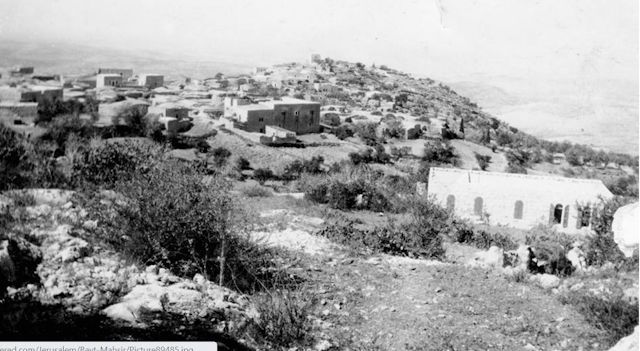 A black and white photo of houses in a village.