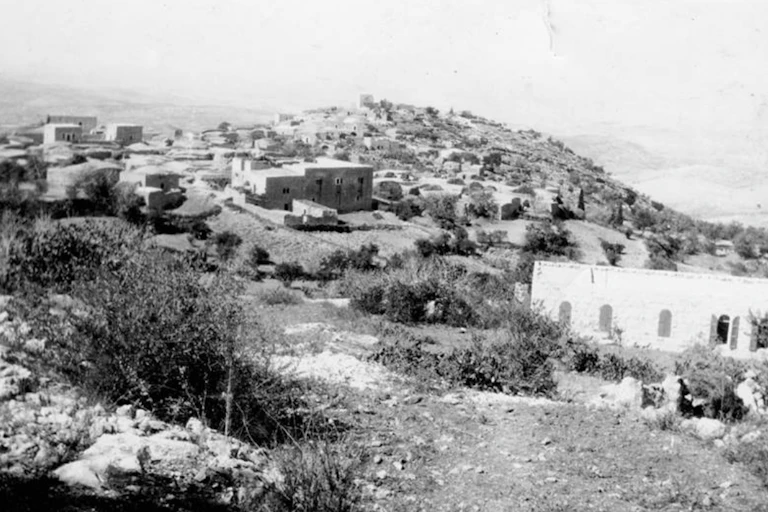 A black and white photo of houses in a village.