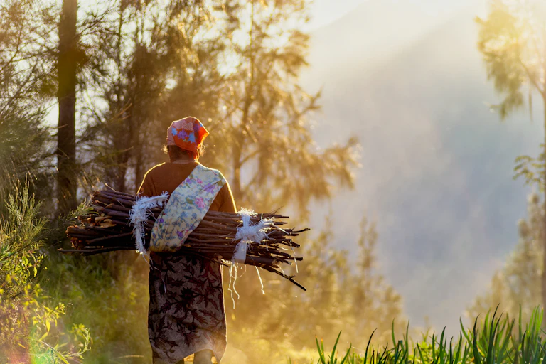 Kemiskinan masyarakat hutan