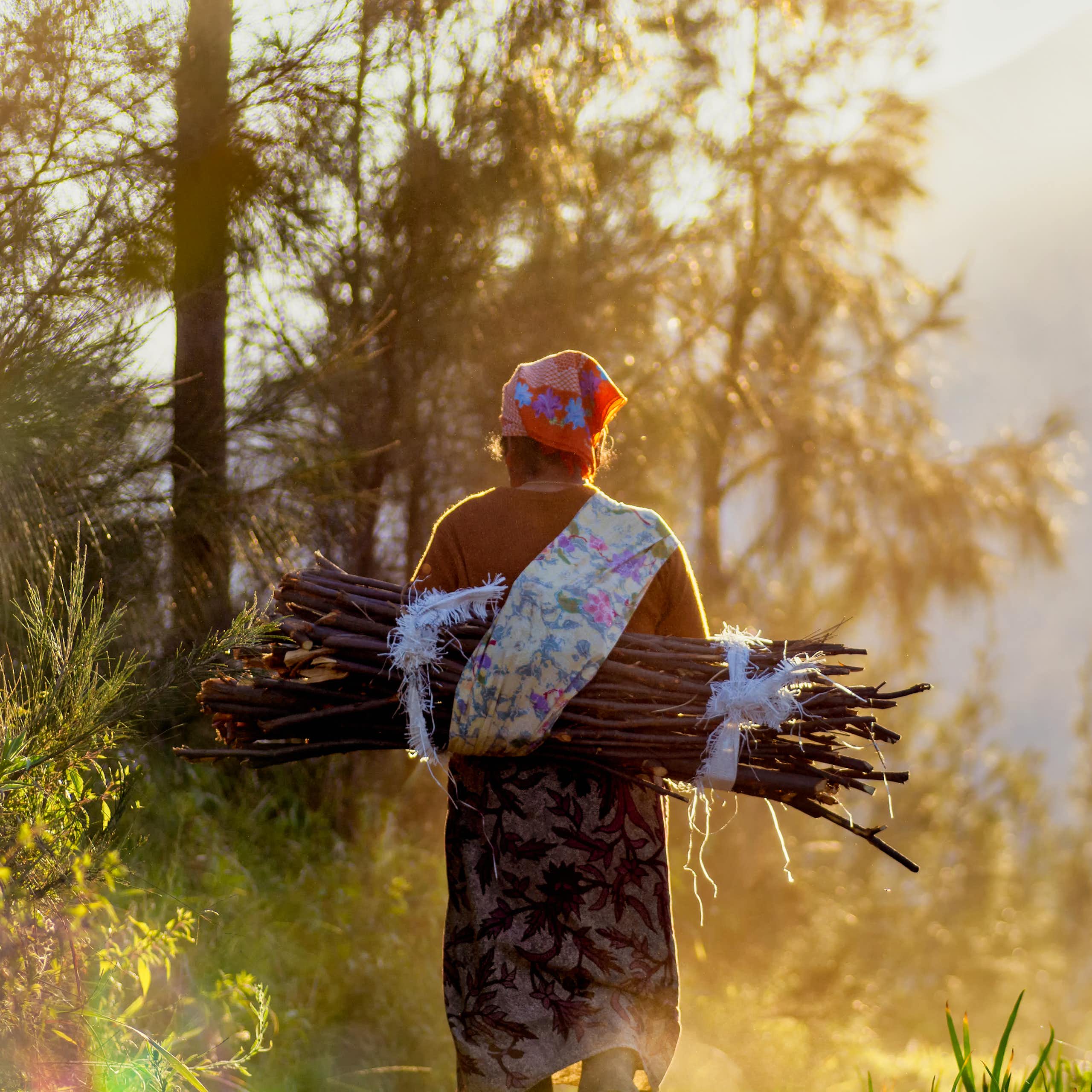 Menggali akar kemiskinan kronis masyarakat kawasan hutan: sebuah tantangan berkelanjutan