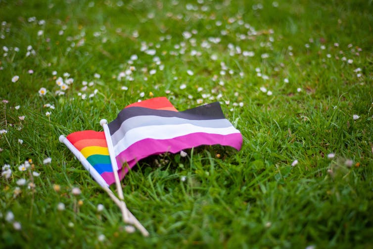 What does it mean to be asexual?