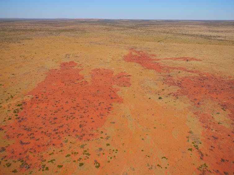 Fire patterns in central Australia