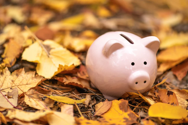 Piggy bank among fallen autumn leaves.