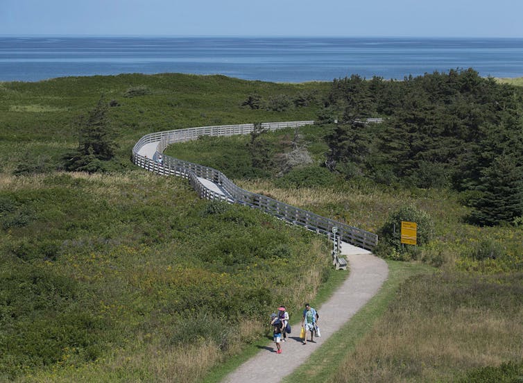 Visitors walk on the boardwalk through a grassy forested area by the sea.