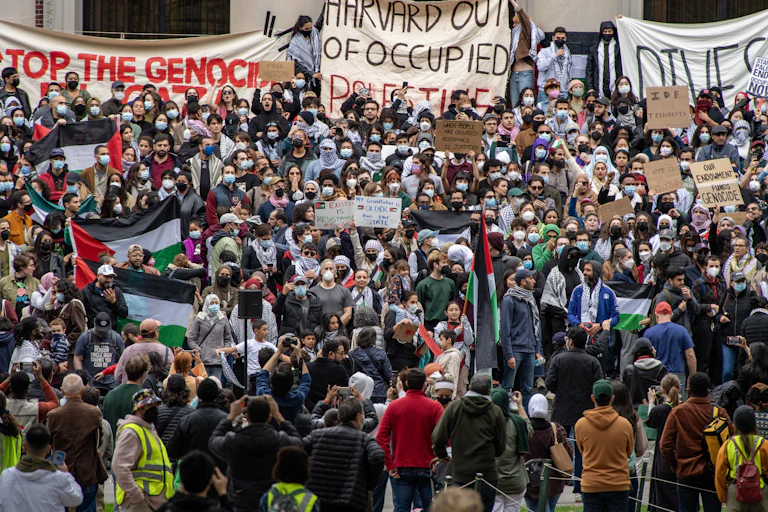 Foule brandissants drapeaux de la Palestine et banderoles « Stop the genocide, « Harvard out of occupied Palestine » et « Divest »