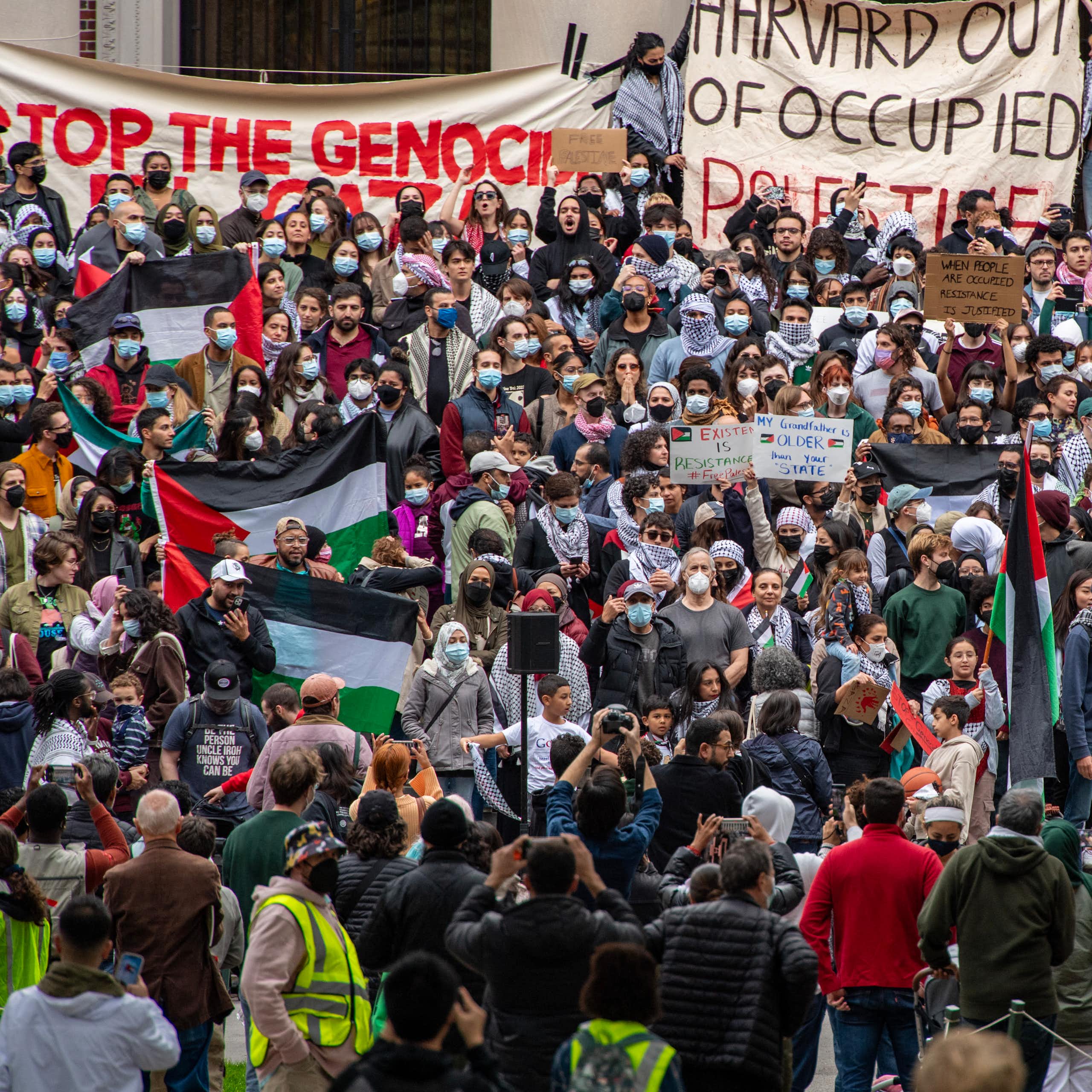 Foule brandissants drapeaux de la Palestine et banderoles « Stop the genocide, « Harvard out of occupied Palestine » et « Divest »