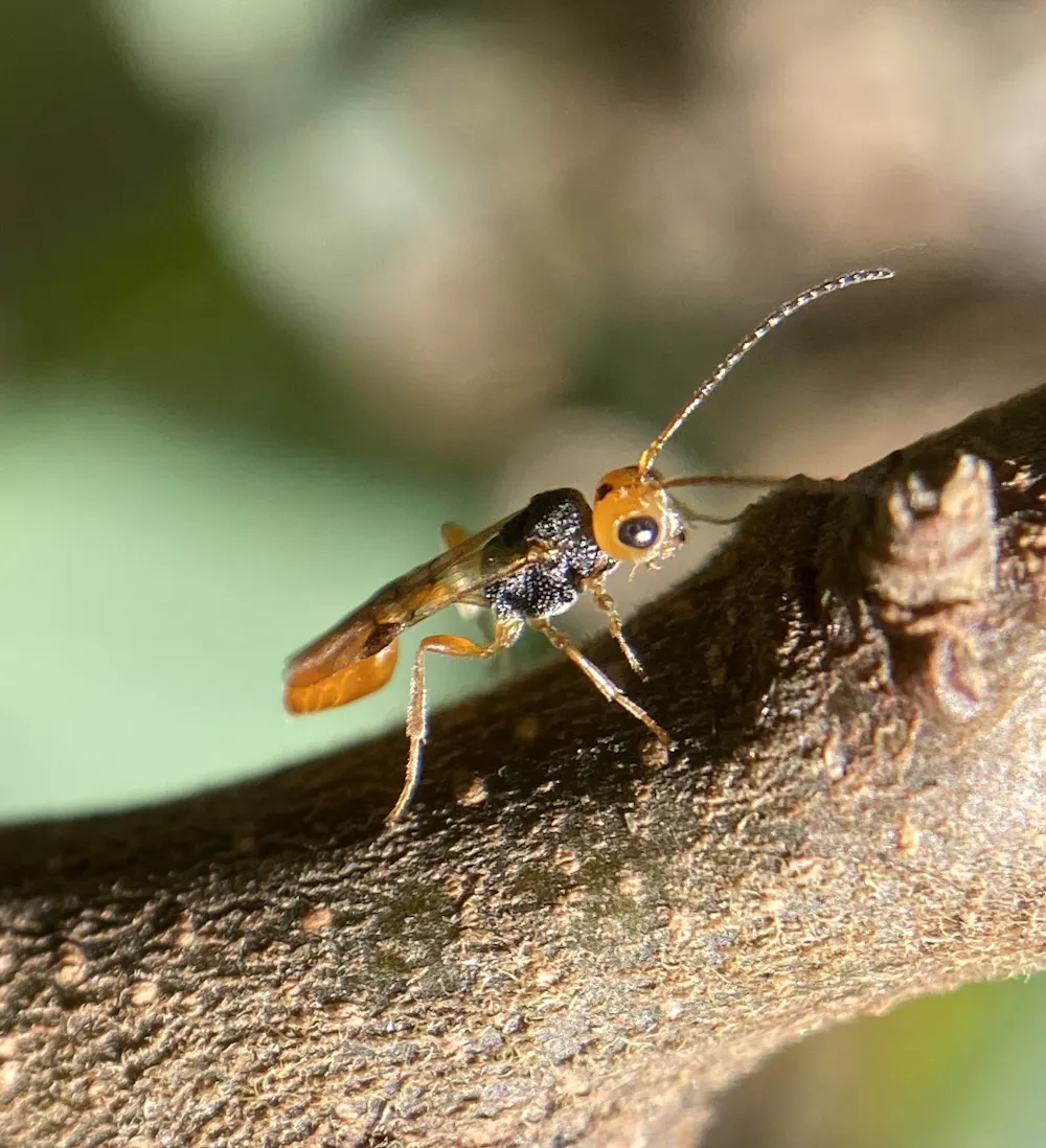 Scientists Counted Every Species in Their Home, And Got a Huge Surprise ...